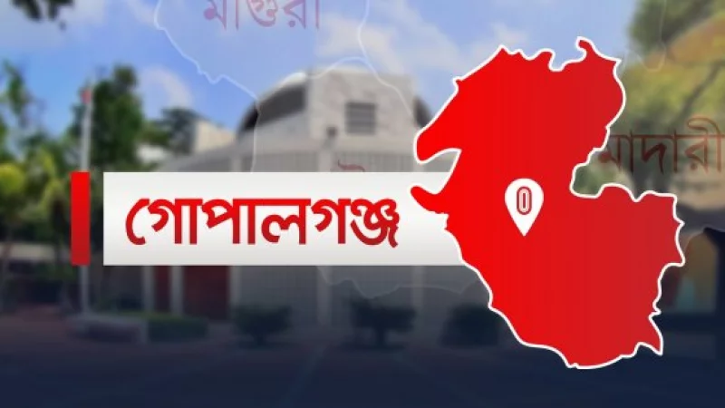 গোপালগঞ্জে ভ্যান উল্টে চালকের মৃত্যু 4 img