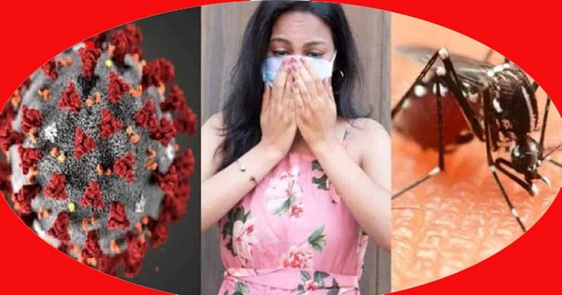 সিলেটে করোনা ও ডেঙ্গুর সংক্রমণ বাড়ছে: জনসচেতনতায় গুরুত্ব দিচ্ছে স্বাস্থ্য বিভাগ 4 img