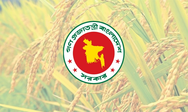বোরো সংগ্রহ কর্মসূচি-২০২৫: ইতিহাসের সর্বোচ্চ ধান ও চাল সংগ্রহ 4 img