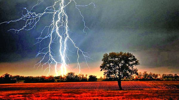 কুড়িগ্রামে বজ্রপাতে মাদ্রাসা শিক্ষার্থীসহ দু’জনের মৃত্যু 4 img