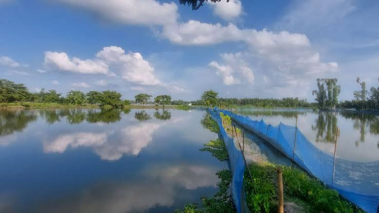 রাজারহাটে চাকিরপশার বিলে দৃষ্টিনন্দন পর্যটন সম্ভাবনা দেখছে স্থানীয় প্রশাসন। 4 image 37
