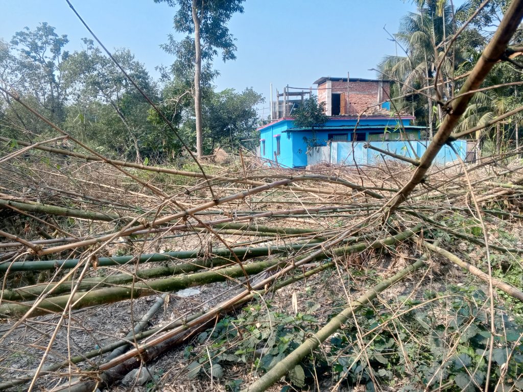 IMG 20260112 120900 741